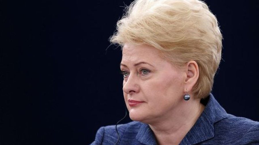 Грибаускайте высказалась в поддержку усилий правительства по проведению переговоров с «Газпромом» - Литва и страны Балтии