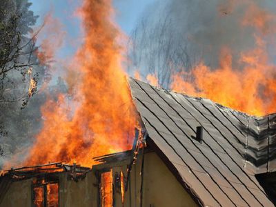Статистика пожаров и спасательных работ в Литве за 2024 год - В Висагинасе
