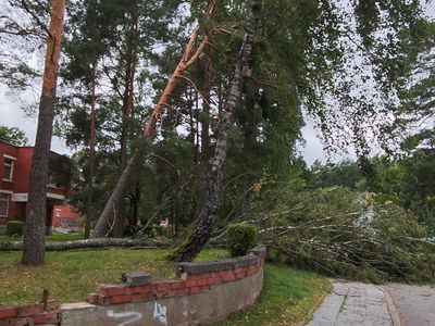 Буря 22 августа стала одной из наиболее разрушительных в Литве за последние два десятилетия - Происшествия и криминал