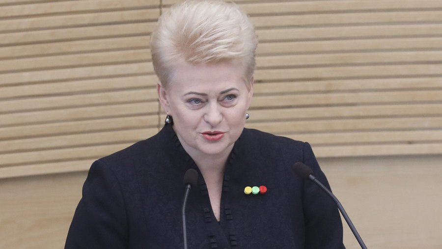 Президент: Политическая повестка дня переполнена вопросами  которые в жизни людей - всего лишь ничтожные мелочи - Литва и страны Балтии