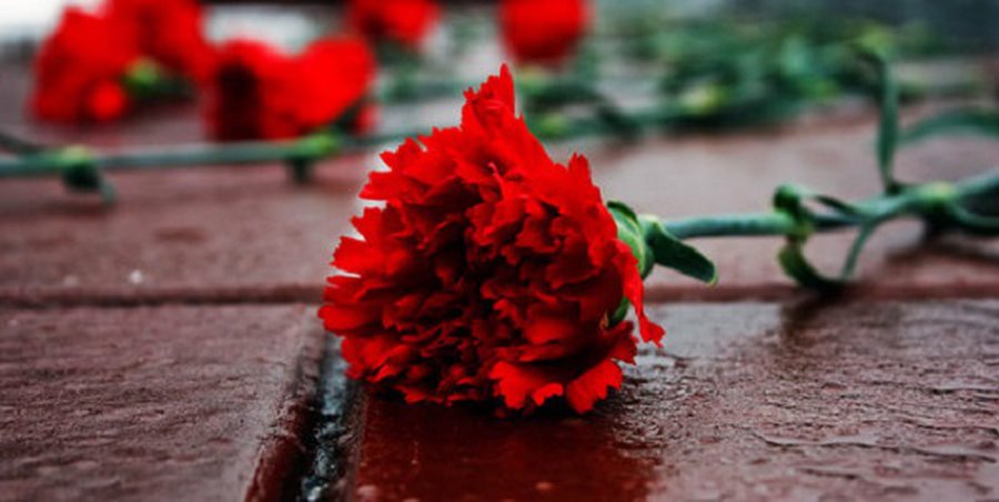 Сердечно благодарю - Благодарность