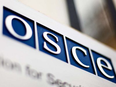 Беспрецедентная ситуация: из-за условий Литвы ОБСЕ не будет следить за президентскими выборами в стране - В Мире