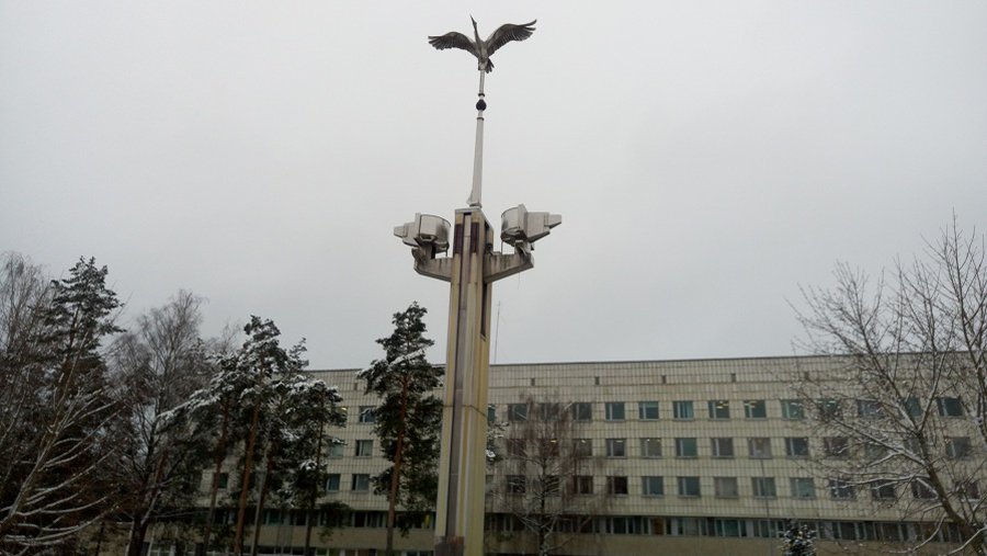 В совете появятся два новых депутата - В Висагинасе