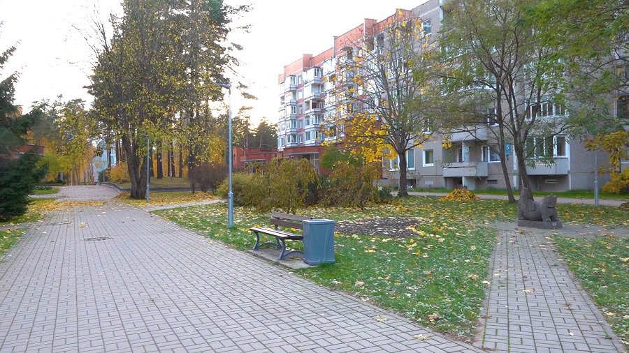 Dėl gatvių pavadinimų keitimo - Visagine