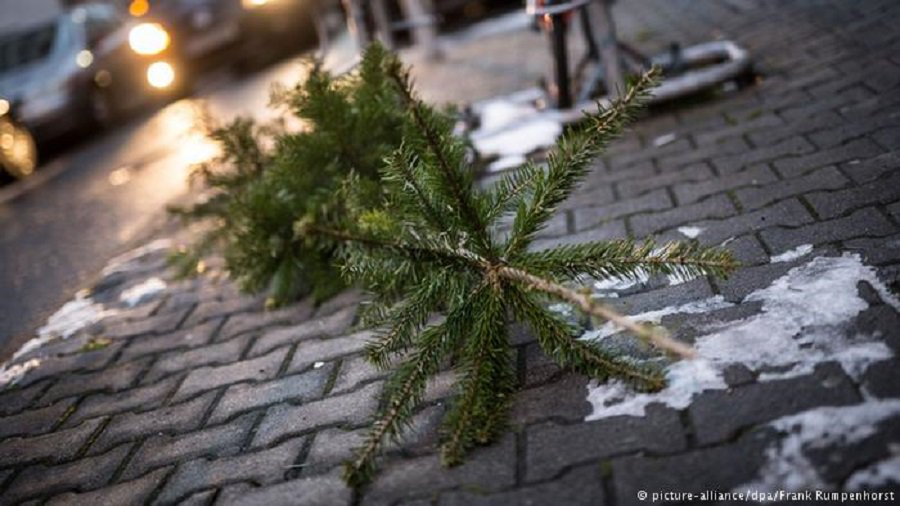 Куда можно выбросить отслужившую новогоднюю елку? - В Висагинасе