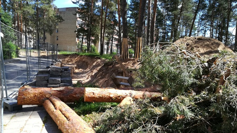 Почему вырубают деревья при реконструкции теплотрасс? - В Висагинасе