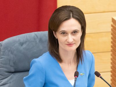 В. Чмилите-Нильсен предлагает поддерживать СМИ национальных меньшинств: это обязанность государства - Литва и страны Балтии