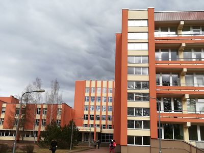 Лукавая статистика. Висагинская больница якобы стала крупным очагом COVID-19 - В Висагинасе