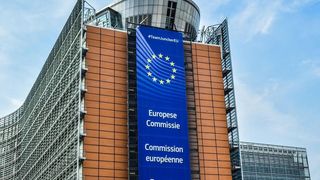 Европа знает о проблемах Висагинаса. А чувствуют ли жители её поддержку?