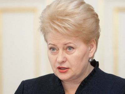 Президент Литвы раскритиковала медлительность правительства в проекте АЭС - Литва и страны Балтии