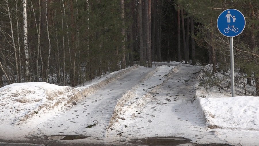 Лес рубят и вывозят по велосипедно-пешеходной дорожке (видео) - В Висагинасе