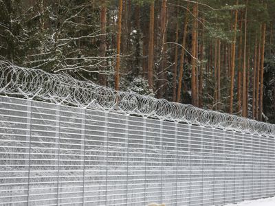 Правительство одобрило законопроект, узаконивающий разворот мигрантов - Литва и страны Балтии