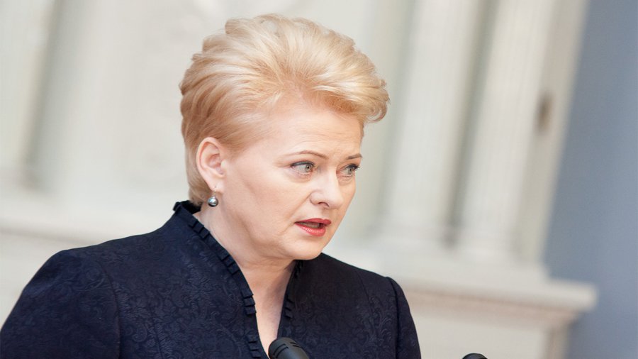 Глава Литвы попросила денег на избирательную кампанию - Литва и страны Балтии
