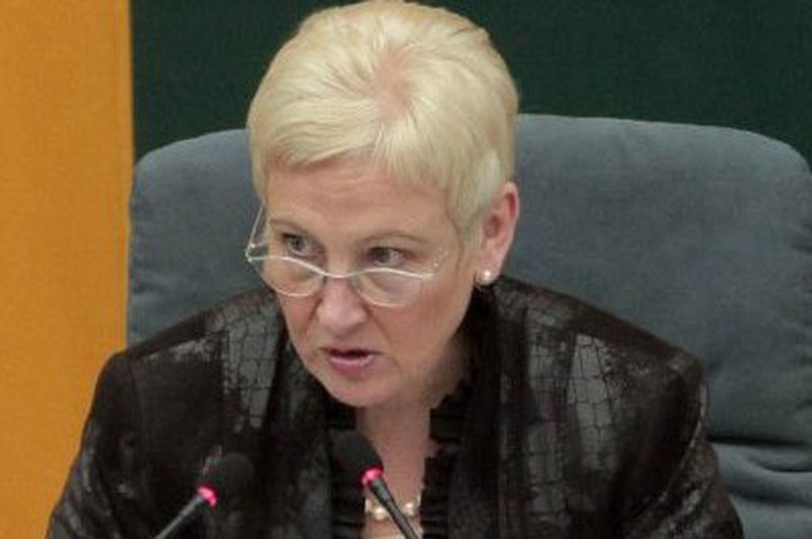 Глава Сейма Литвы обеспокоена планами Белоруссии и РФ построить АЭС

 - Энергетика
