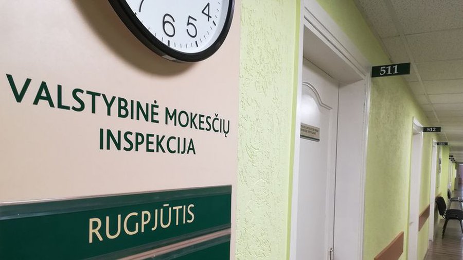 Не затягивайте подачу декларации о доходах! - Литва и страны Балтии