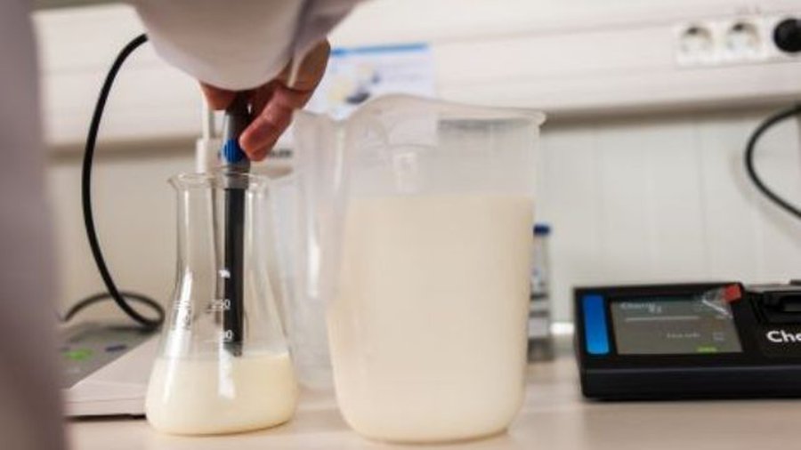 Литовские санитары: Молочные продукты в Россию пока еще по-прежнему экспортируются - Литва и страны Балтии