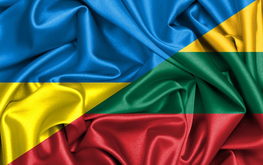 Литва выделит военным беженцам из Украины единовременную помощь в размере 176 евро - Литва и страны Балтии
