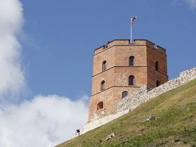 Президент: саммит НАТО – лучший подарок к 700-летию Вильнюса - Литва и страны Балтии