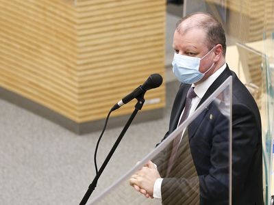 С. Сквернялис оценил правительство: активны лишь два министра – Г. Ландсбергис и М. Навицкене - Литва и страны Балтии
