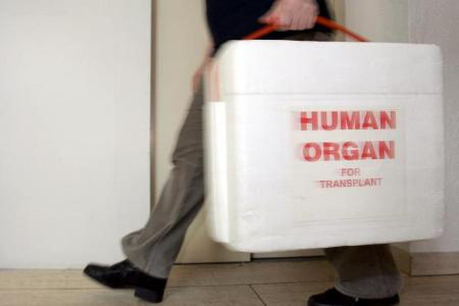 В странах Балтии — единая система трансплантации органов? - Наука и здоровье