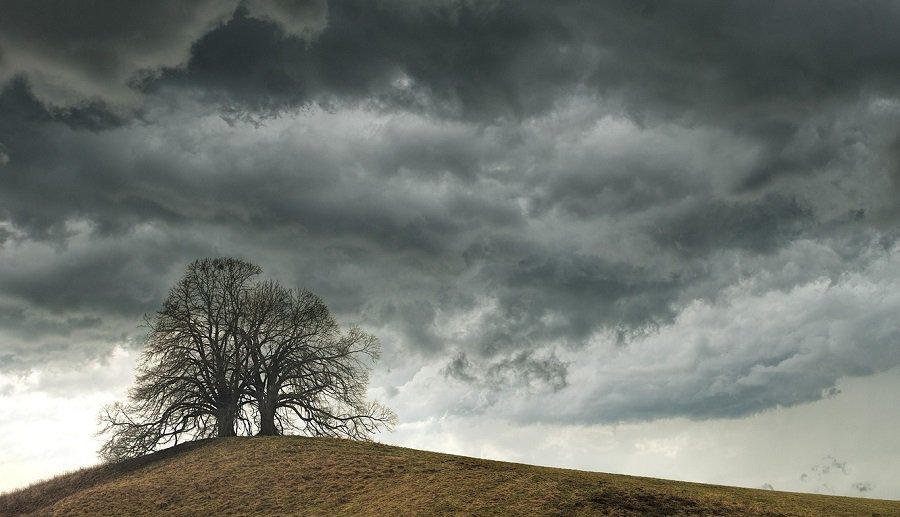 Изменение погоды: на этой неделе - первый снег - Литва и страны Балтии