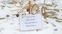 Школа "Žiburio"