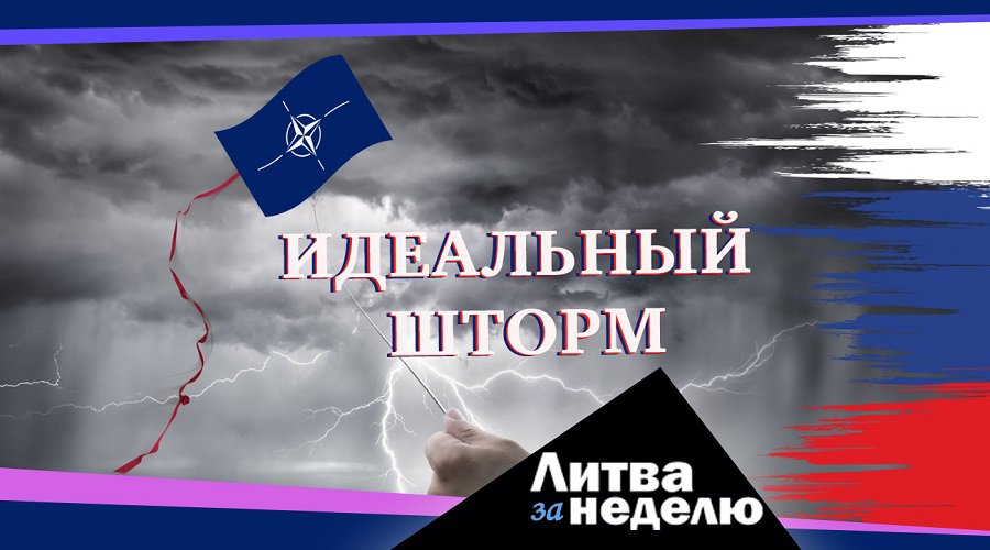 Голод уже не фантастика: Литва за неделю (видео) - Литва и страны Балтии