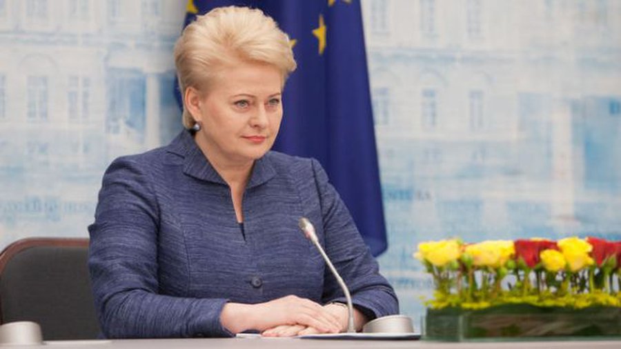 Президент Литвы рассказала, где женщинам мешает совмещение работы и семьи - Литва и страны Балтии