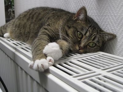 Оппозиция предлагает временно применять нулевой тариф НДС на отопление, горячую воду и дрова - Литва и страны Балтии