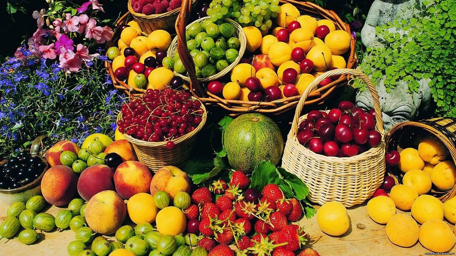 Литва потребует у ЕС устранить дискриминацию по качеству тех же продуктов в разных странах - Литва и страны Балтии