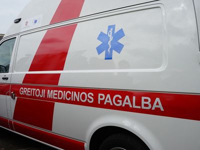 Грипп в Литве унес жизни 20 человек - Литва и страны Балтии