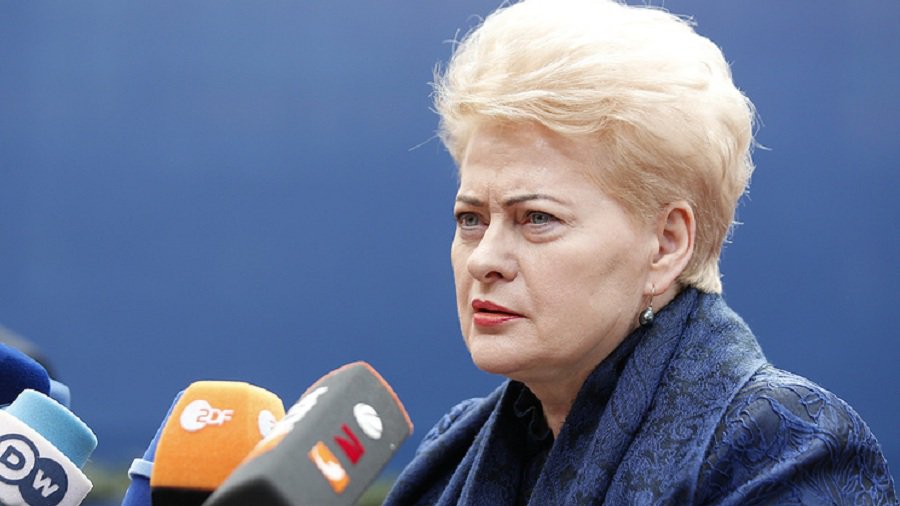 Президент Литвы заявила, что Украине предстоит пройти долгий путь в ЕС - В Мире