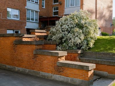 Neplanuotos planinių miestų istorijos: paroda apie Europos naujuosius miestus Visagine - Visagine
